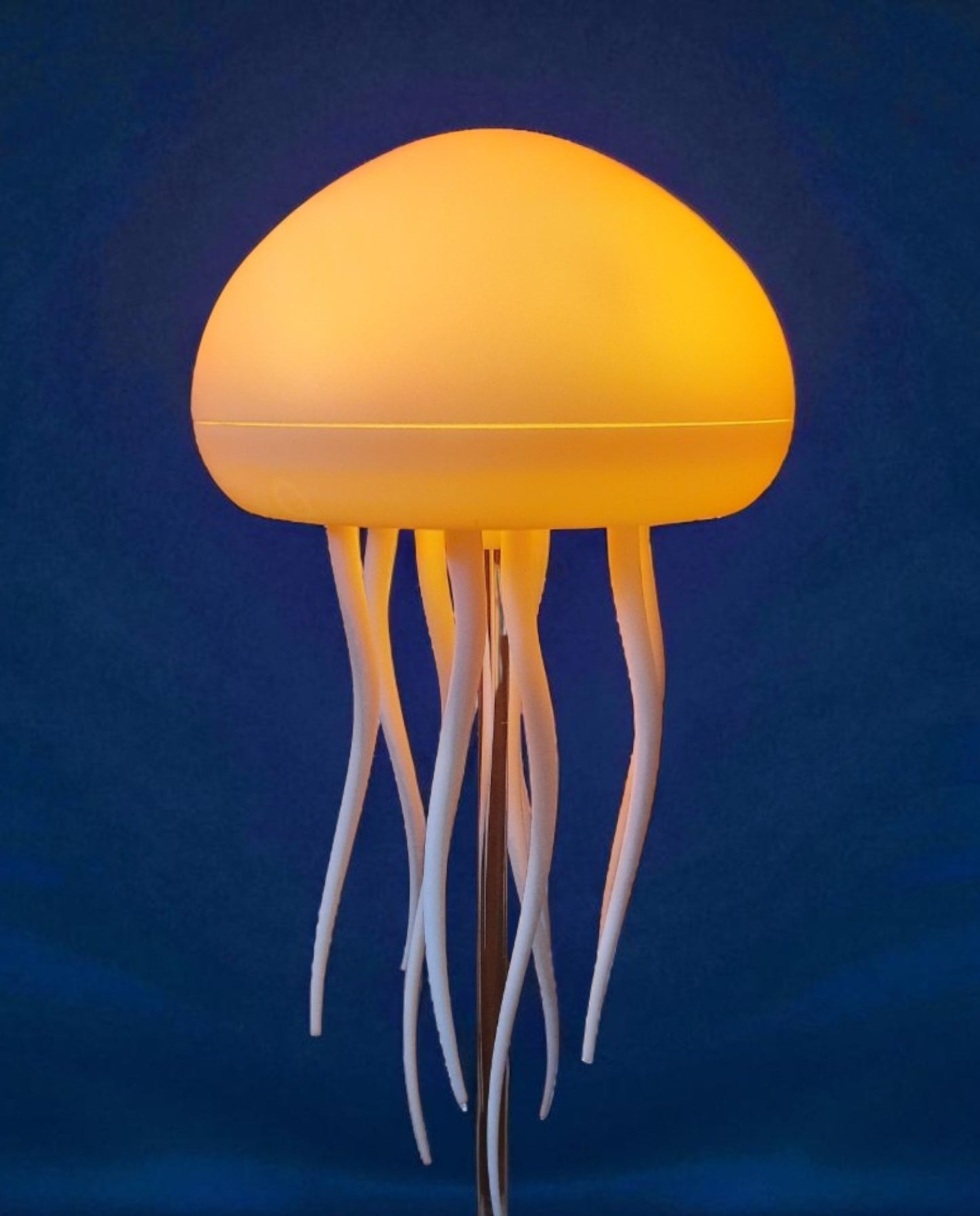 Jellyfish Lamp